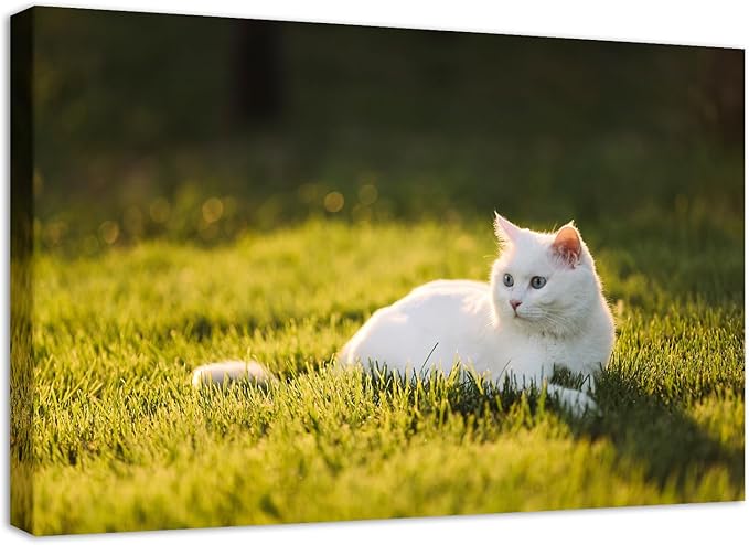 YYYYHPP Canvas Prints with Your Photos, Personalized Photo to Canvas Wall Art,Canvas Printing for Wedding, Family, Baby, Pets, Home Office Decor, Wrapped Frame 18"x12"