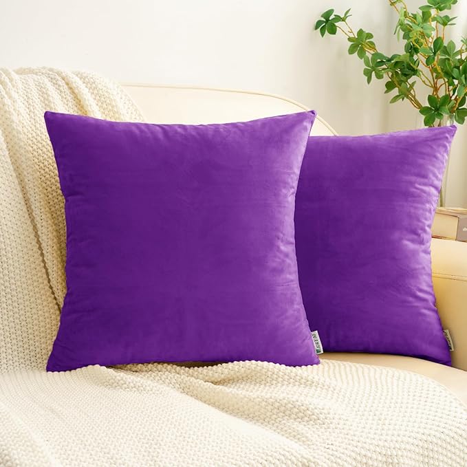 HWY 50 Purple Velvet Throw Pillow Covers 18x18 Inch, Pack of 2 Soft Cozy Solid Decorative Luxury Cushion Cases for Couch Sofa Bed Living Room Bedroom