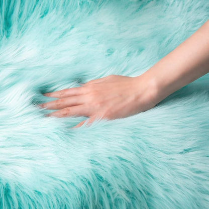 Ashler faux fur rug, Fluffy Shaggy Area Rug Ultra Soft 2 x 3 Feet Sheepskin Fur Rug, Turquoise Fuzzy Rug Machine Washable Shag Rug, Nursery Decor Throw Rugs for Bedroom, kids room, Living Room