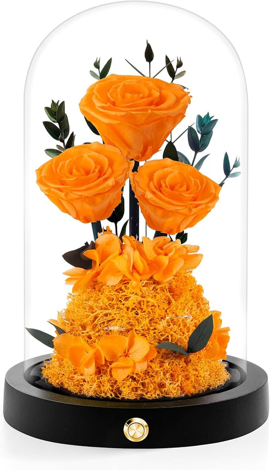 Valentines Day Flowers Roses Gifts for Her,Forever Real Preserved Roses in Glass Dome,Valentines Day Anniversary Birthday Gifts for Wife Girlfriend Women Mom Best Friend Her/Orange