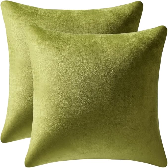 Couch Pillow Cases 16x16 Chartreuse: 2 Pack Cozy Soft Velvet Square Throw Pillow Covers for Farmhouse Home Decor