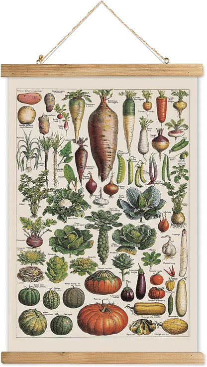 XIAOAIKA Vintage Vegetable Varieties Poster - Illustrated Garden Produce Chart with Wooden Frame - Educational Kitchen Wall Decor Art for Home Chefs and Gardeners 16 x 23 inches