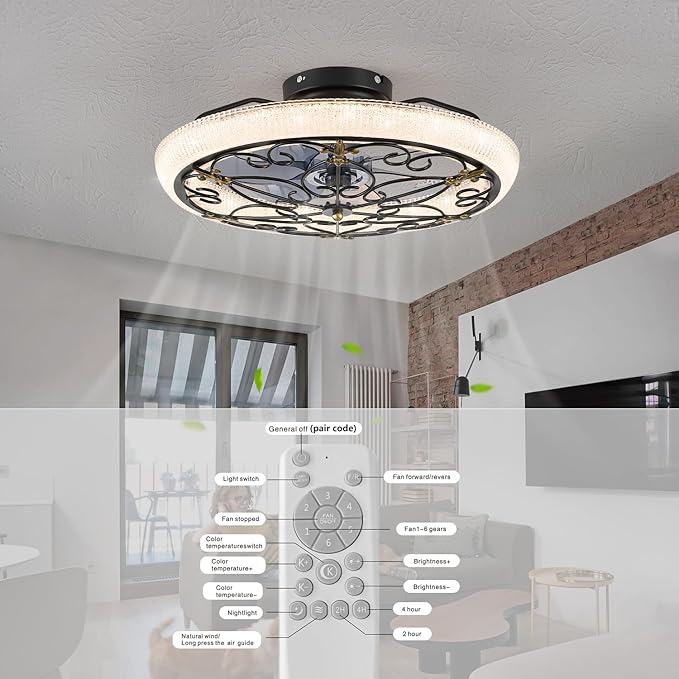Rustic Black Caged Ceiling Fan with Light, Farmhouse Ceiling Fan Remote Control with Crystal, LED Low Profile Ceiling Light for Bedroom Kitchen Living Room