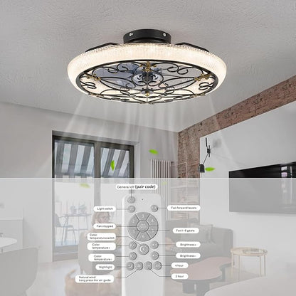 Rustic Black Caged Ceiling Fan with Light, Farmhouse Ceiling Fan Remote Control with Crystal, LED Low Profile Ceiling Light for Bedroom Kitchen Living Room