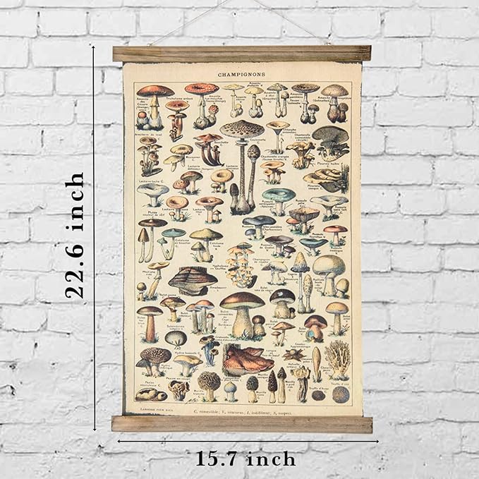 ABoby Vintage Hanging Posters, Decorative Mushroom Wall Art Prints, Printed on Linen with Wood Frames, Ready to Hang