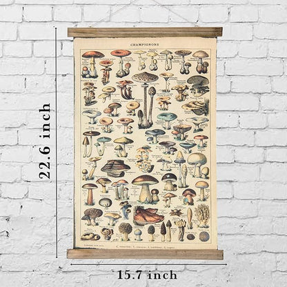 ABoby Vintage Hanging Posters, Decorative Mushroom Wall Art Prints, Printed on Linen with Wood Frames, Ready to Hang