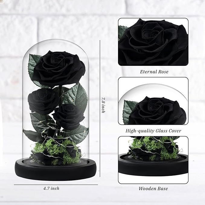 3 Preserved Flowers Roses in Glass Dome with Light for Beauty and The Beast Decor Real Rosas Eternas for Women Mom Birthday,Forever Black Roses for Delivery, Christmas for Wife Girlfriend Her