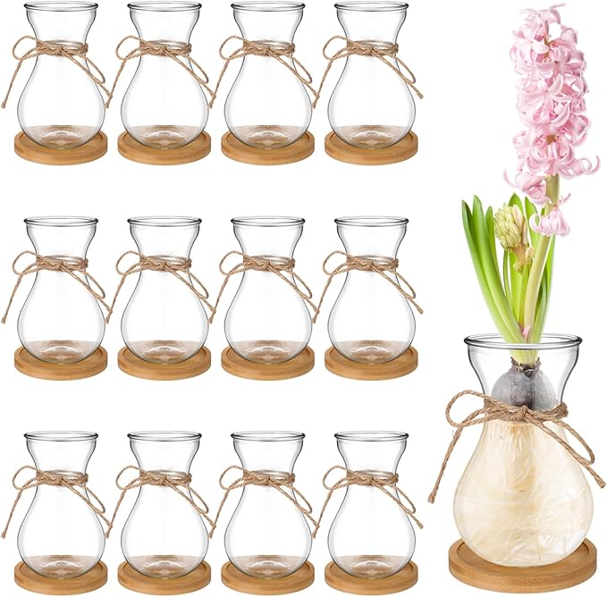 Bulb Glass Vases for Flowers Forcing Hyacinth Clear Decorative Bulb Vase with Round Bamboo Coaster for Home Office Table Decoration(12 Pcs)