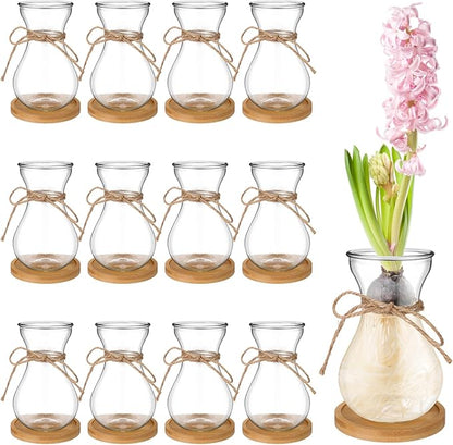 Bulb Glass Vases for Flowers Forcing Hyacinth Clear Decorative Bulb Vase with Round Bamboo Coaster for Home Office Table Decoration(12 Pcs)