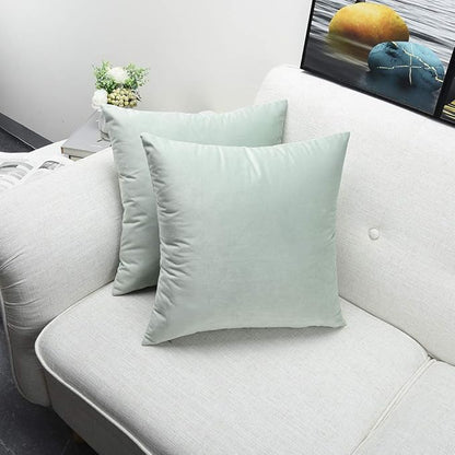 Artaimee Celadon Velvet Throw Pillow Covers 18x18 Inches (Pack of 2) | Soft and Cozy Cushion Covers for Sofa, Bed, Chair, Office | Machine Washable, Decorative Velvet Pillowcases