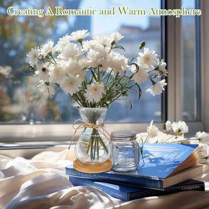 Bulb Glass Vases for Flowers Forcing Hyacinth Clear Decorative Bulb Vase with Round Bamboo Coaster for Home Office Table Decoration(8 Pcs)
