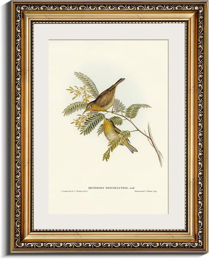 InSimSea Gold Framed Canvas Wall Art Room Decor Birds Art Prints Home Decoration Vintage Artwork Painting Picture Bathroom Wall Decor Animals Artwork for Living Room Bedroom Kitchen Office