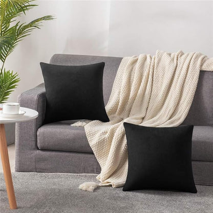 Decorative Pillow Covers 20x20 Black: 2 Pack Cozy Soft Velvet Square Throw Pillow Cases for Farmhouse Home Decor