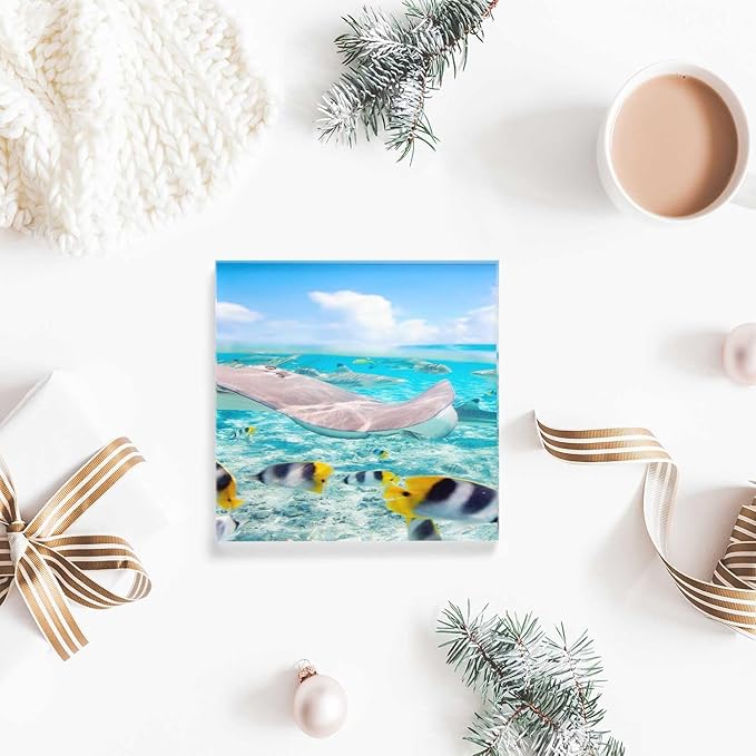 Women Congratulations Summer Colorful Fish Underwater Acrylic Desktop Ornament 4 x 4 Inch Graduation Present for Friends, Office Staff, Boss Female