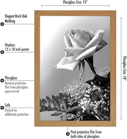 Americanflat 12x18 Poster Frame with Polished Plexiglass - Wide Picture Frames Made of Engineered Wood for Vertical or Horizontal Wall Display - Epic Collection - Dark Oak