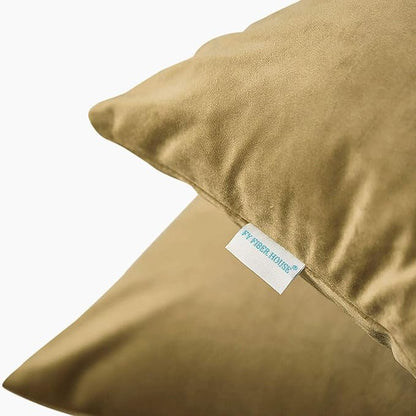 FY FIBER HOUSE Pack of 2 Velvet Throw Pillow Covers Decorative Square Pillowcase Soft Solid Cushion Case for Sofa/Couch Use, 20 x 20 Inch Coffee