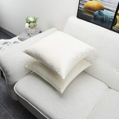Artaimee Ivory White Velvet Throw Pillow Covers (18x18 Inches, Pack of 2) – Soft & Cozy Cushion Cases for Sofa, Bed, Couch, Office, & Car – Hidden Zipper, Decorative Accent for Living Room & Bedroom