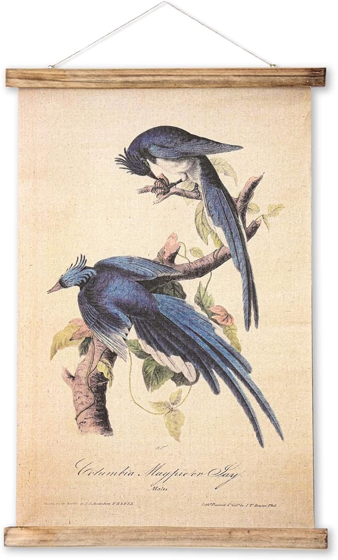 ABoby Vintage Birds Hanging Poster, Retro Style of Wall Art Prints, Printed on Linen with Wood Frames, Ready to Hang