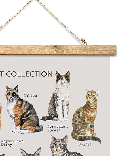 XIAOAIKA Cat Breeds Educational Poster - Illustrated Guide to Popular Feline Varieties with Wooden Scroll Frame - Decorative Wall Art for Cat Lovers and Pet Owners 12 x 16 Inches