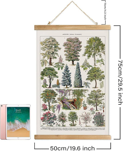 XIAOAIKA Vintage Tree and Shrub Poster - Botanical Educational Retro Wall Art with Wooden Frame for Gardening Enthusiasts and Landscape Designers 20 x 30 Inches