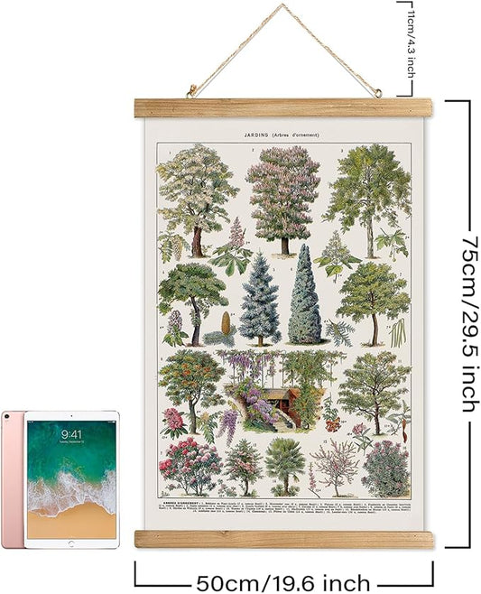 XIAOAIKA Vintage Tree and Shrub Poster - Botanical Educational Retro Wall Art with Wooden Frame for Gardening Enthusiasts and Landscape Designers 20 x 30 Inches