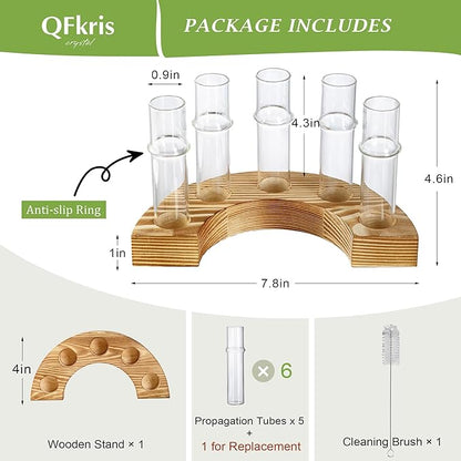 Plant Propagation Station with Wooden Stand, Valentines Day Gift, Glass Propagation Vase for Plants, Plant Terrarium Birthday Gifts for Women Mom Plants Lovers, Home Office Garden Decor, 5 Glass Tubes