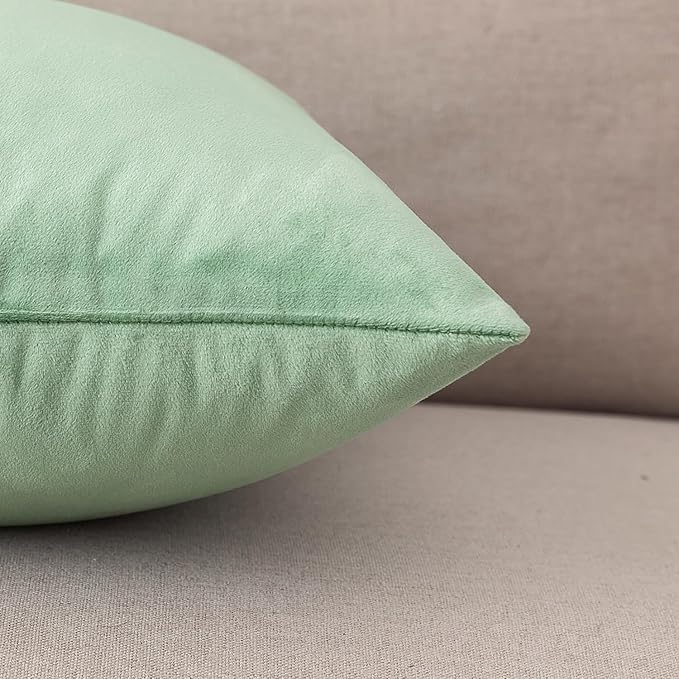 NiNi ALL Decorative Sage Green Throw Pillow Covers Pack of 2 Velvet 12x12 Inch Throw Pillow Cases for Couch Pillows Cover Bedroom Living Room Outdoor Pillows Cover