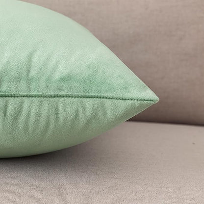 NiNi ALL Decorative Sage Green Throw Pillow Covers Pack of 2 Velvet 14x14 Inch Throw Pillow Cases for Couch Pillows Cover Bedroom Living Room Outdoor Pillows Cover