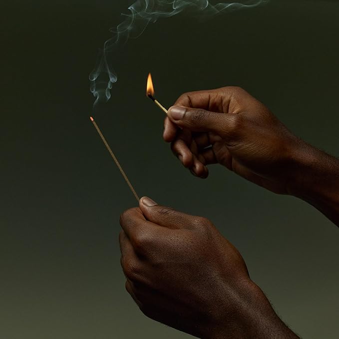 Aesop Kagerou Aromatique Incense | Earthy & Smoky Vetiver Scent | Includes Kanuma Pumice Holder | 30-Minute Burn Time | Green, Herbaceous, Woody Aroma | 33 Sticks