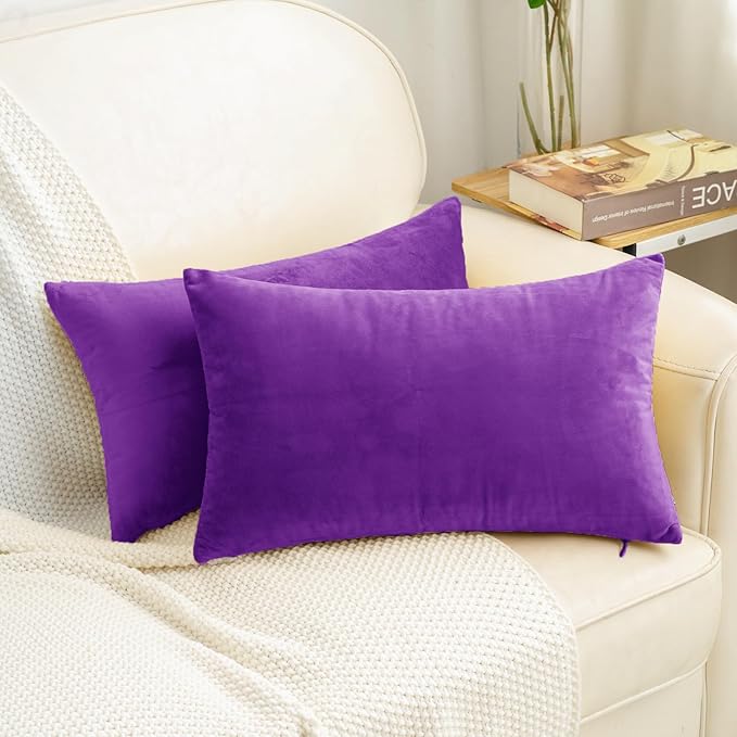 HWY 50 Purple Velvet Rectangular Throw Pillow Covers 12x20 Inch, Pack of 2 Soft Cozy Solid Decorative Luxury Cushion Cases for Couch Sofa Bed Living Room Bedroom