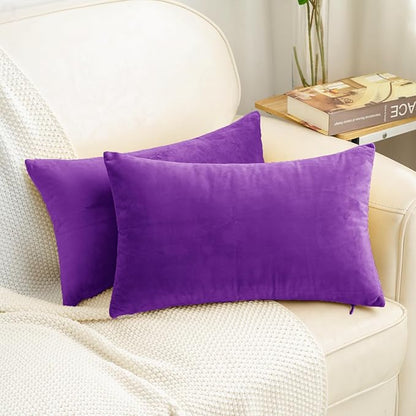 HWY 50 Purple Velvet Rectangular Throw Pillow Covers 12x20 Inch, Pack of 2 Soft Cozy Solid Decorative Luxury Cushion Cases for Couch Sofa Bed Living Room Bedroom