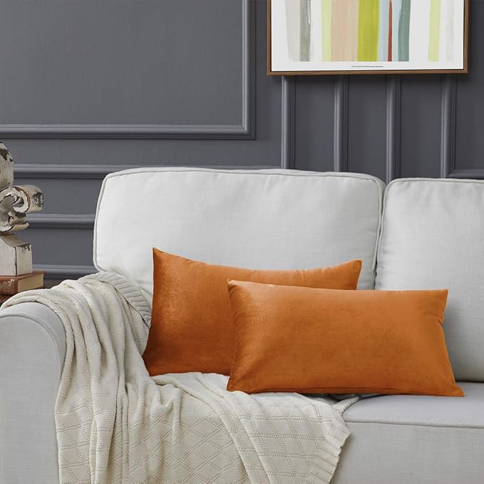GIGIZAZA Cinnamon Orange Velvet Decorative Throw Pillow Covers for Sofa Bed 2 Pack Soft Cushion Cover