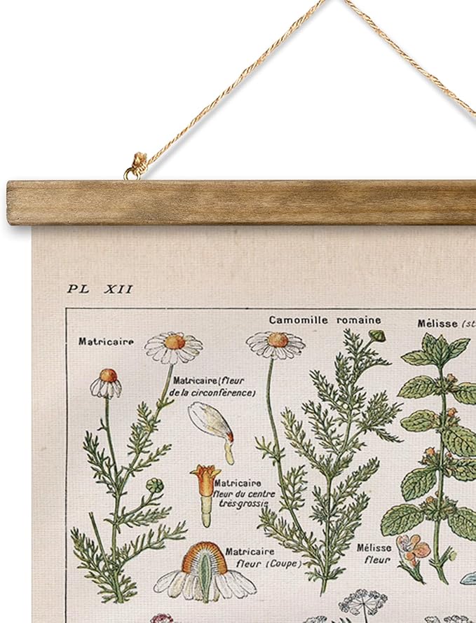 XIAOAIKA Vintage Botanical Herbs Illustration Poster - Retro Medicinal Plant Chart with Wooden Frame - Educational Herbal Reference for Home, Kitchen, or Classroom Decor 12 x 16 Inches