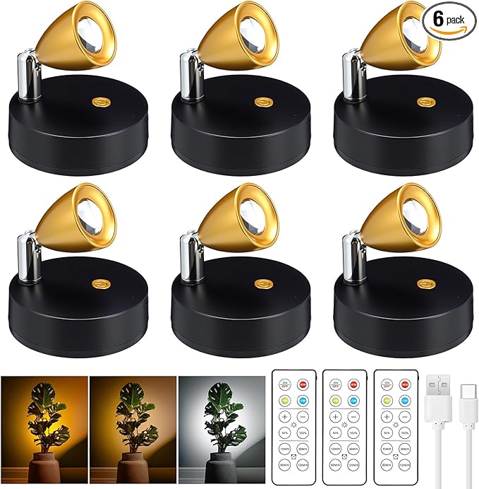 Hortsun 6 Pcs Mini Rechargeable Spotlights with 3 Remote Control Indoor Plant Wireless LED Spot Lights Rotatable Dimmable Accent Picture Lights for Wall Artwork Painting Display (Gold)