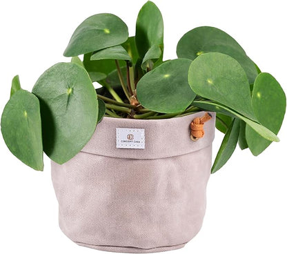 Large Waxed Canvas Handmade Hanging Planter for Indoor/Outdoor Plants, Hanging Basket Plant Holder Stone Gray with Hook