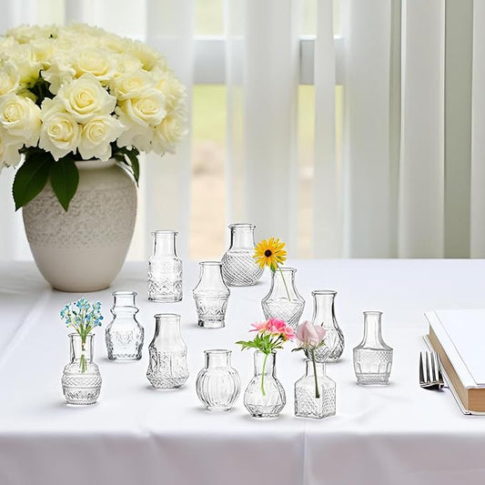 Clear Glass Bud Vase Cute Mini Vases 12Pcs EylKoi Flowers Vintage Small Glass Tiny in Bulk Different Shape Modern Set Lovely for Decor Table Wedding Home Table Centerpieces Dinning Party