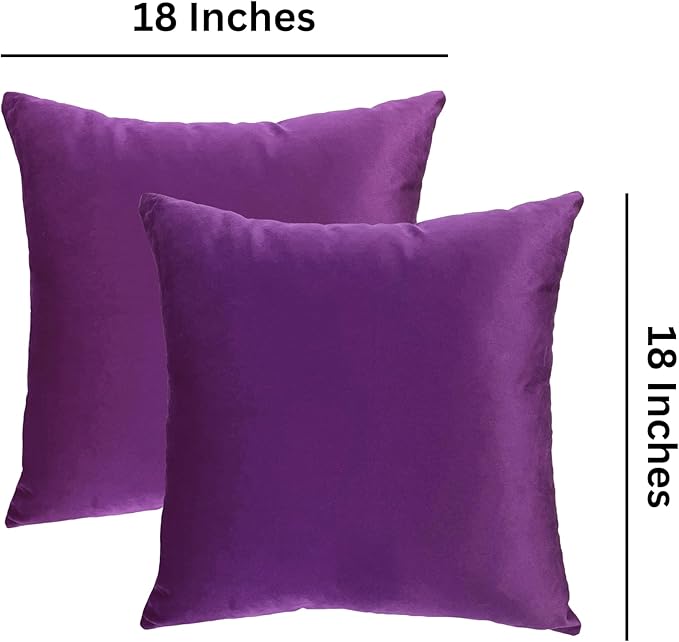 RELY+ Pack of 2 Throw Pillow Covers 16x16 Inch Velvet Soft Cozy Solid Decoration Gifts Pillow Covers Luxury Cushion Case for Sofa Couch Bedroom Living Room (Purple, 18 X 18)