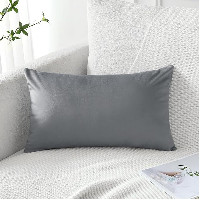 Artscope Luxury Velvet Pillow Covers Decorative Rectangle Pillowcases Soft Solid Cushion Cases for Couch Sofa Bedroom Car Decor 16x24 Inch Graphite Grey
