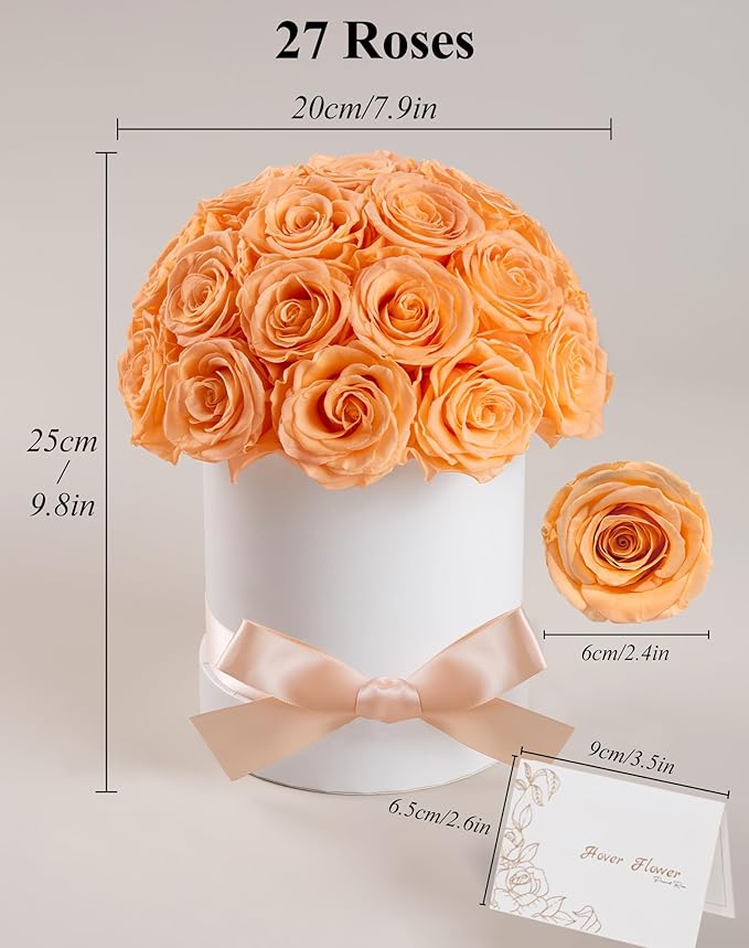 27 Forever Roses Dome in Luxury White Box, Eternal Real Roses Birthday Gifts for Women, Preserved Flowers for Delivery Prime, Anniversary, Valentine's Day, Mothers Day for Mom (Champagne)