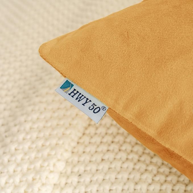 HWY 50 Orange Velvet Throw Pillow Covers 16x16 Inch, Pack of 2 Soft Cozy Solid Decorative Fall Luxury Cushion Cases for Couch Sofa Bed Living Room Bedroom