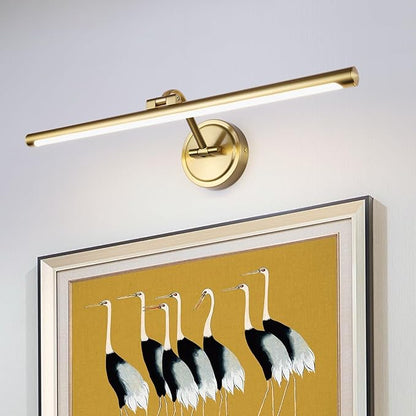 Hard-Wired Picture Lights 23.6 Inch Dimmable LED Wall Art Lighting Modern Brass Gallery Light Poster Lights Adjustable Swing Arm Picture Frame Light for Display Art Work,14W,2700K, Warm White