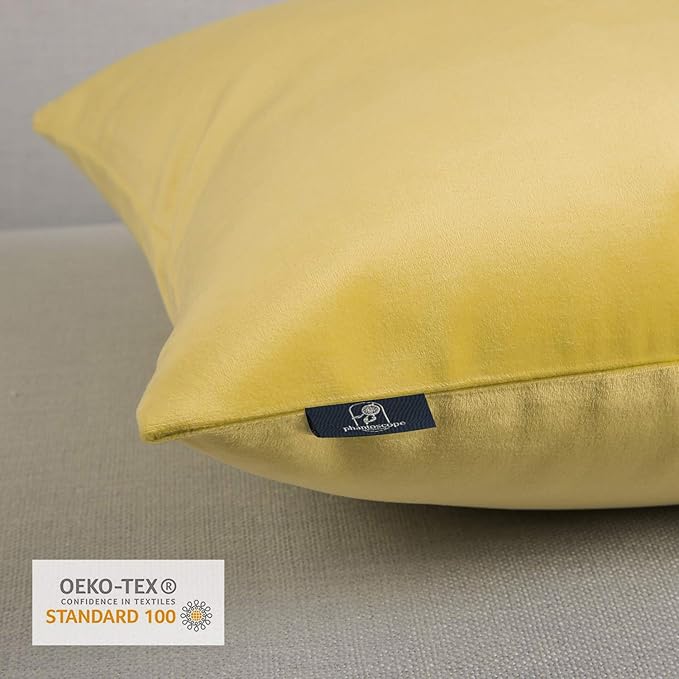 Phantoscope Pack of 2 Velvet Decorative Throw Pillow Covers Soft Solid Square Cushion Case for Couch Yellow 22 x 22 inches 55 x 55 cm