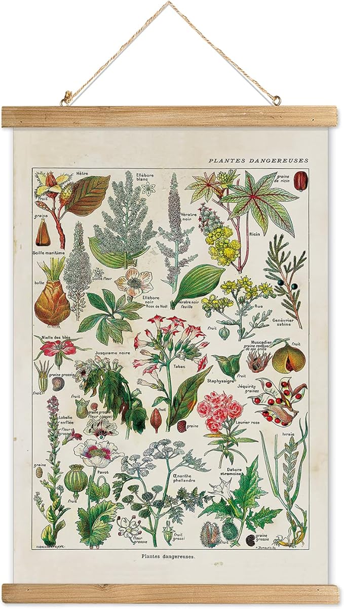 XIAOAIKA Vintage Botany Poster with Wooden Frame, Antique Poisonous Plants Chart - Botanical Educational Art with Dangerous Species - Retro-Style Wall Hanging for Home Classroom Decor 20 x 30 Inches