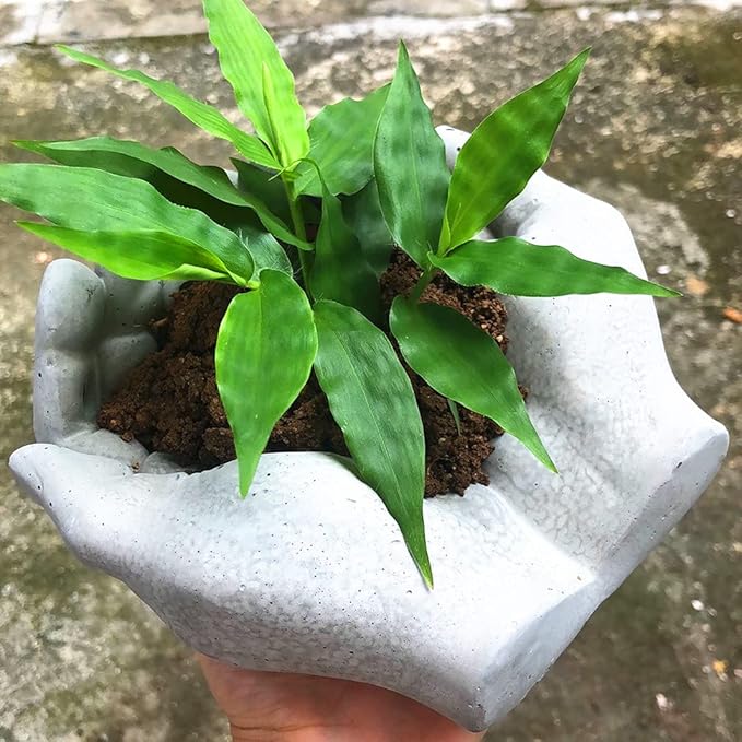 Hand Shaped Flower Pot Cement Silicone Mold, Concrete Clay Succulent Planter Mold Dish Resin Jewelry Storage Mould Epoxy Casting Mould