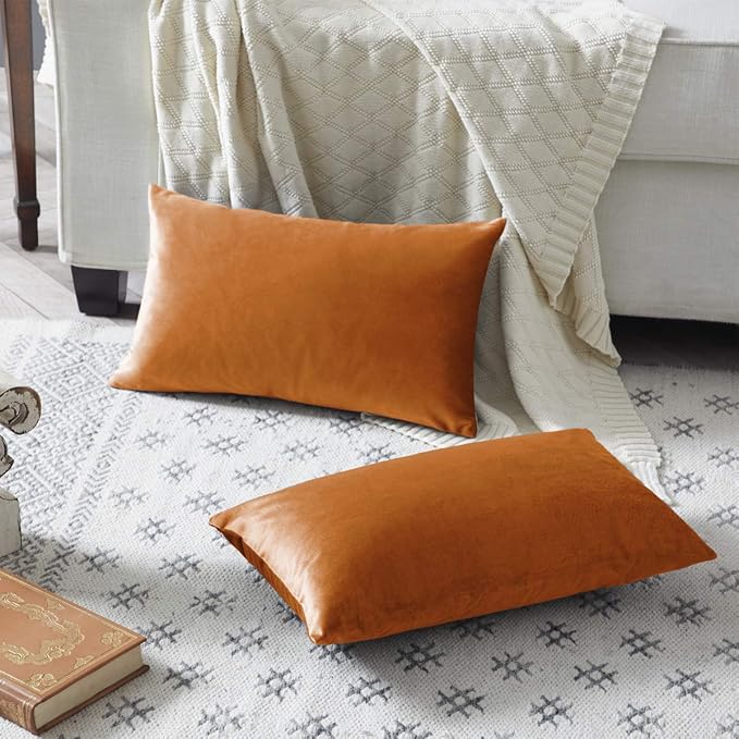 GIGIZAZA Cinnamon Orange Velvet Decorative Throw Pillow Covers for Sofa Bed 2 Pack Soft Cushion Cover