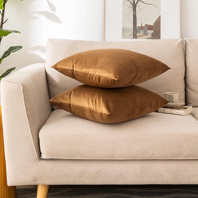 NiNi ALL Decorative Throw Pillow Covers Velvet 22x22 Inch Pack of 2 Brown Cushion Covers Soft for Couch Sofa Bedroom Living Room Outdoor