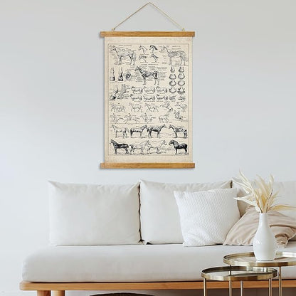 ABoby Vintage Equine Anatomy Chart Posters - Horse Wall Art for Homes and Offices - Retro Style Painting with Wood Frames - Ready to Hang