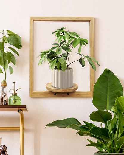 yadoker Wall Planters for Indoor Plants,Bamboo Hanging Plant Holders, Wall Decor Plant Stand, 1-Pack Window Plant Shelves for Living Room & Entryway
