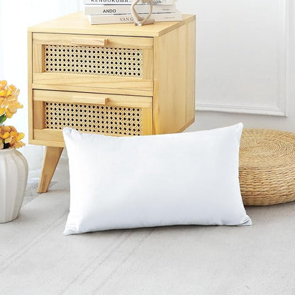 Artscope Luxury Velvet Pillow Covers Decorative Rectangle Pillowcases Soft Solid Cushion Cases for Couch Sofa Bedroom Car Decor 16x24 Inch White
