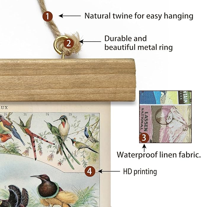 XIAOAIKA 2 Pack Vintage Nature Posters: Bird Species and Bird Eggs - Illustrated Educational Charts with Wooden Frames for Ornithologists, Nature Lovers 16 x 23 Inches